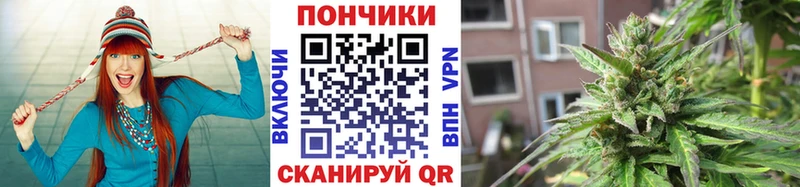 Где купить наркоту Северобайкальск NBOMe  Мефедрон  Гашиш  Конопля 