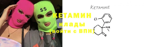дживик Ельня