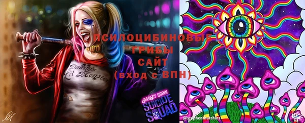 прущая мука Заволжск