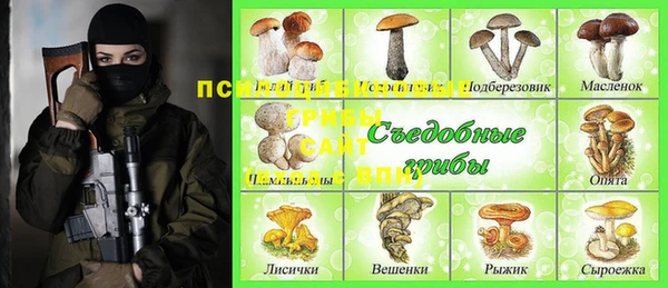 соль ск Зеленокумск