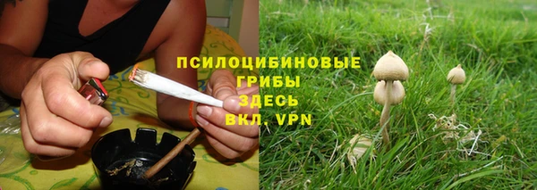 хмурый Зеленодольск