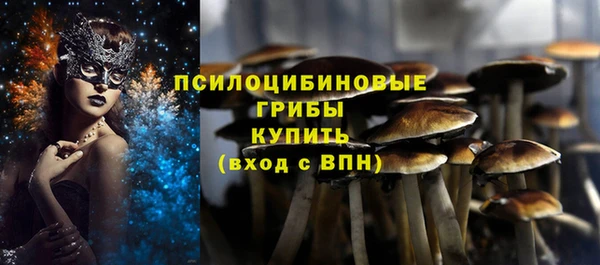 соль ск Зеленокумск