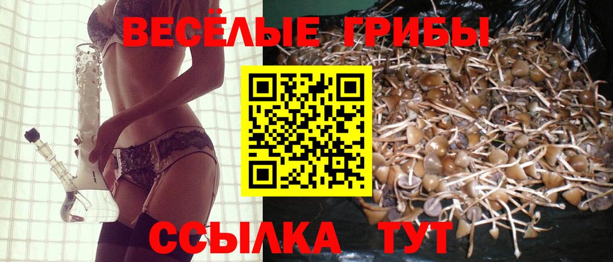 Псилоцибиновые грибы GOLDEN TEACHER  Вход с VPN  Северобайкальск  Галлюциногенные грибы ЛСД 