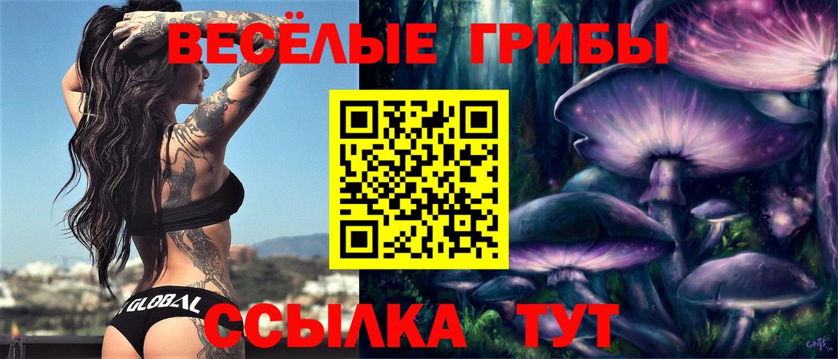 Галлюциногенные грибы Psilocybine cubensis  Северобайкальск 