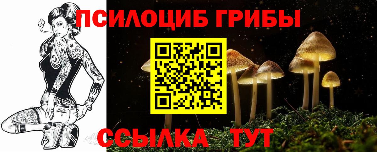 Галлюциногенные грибы Magic Shrooms Северобайкальск